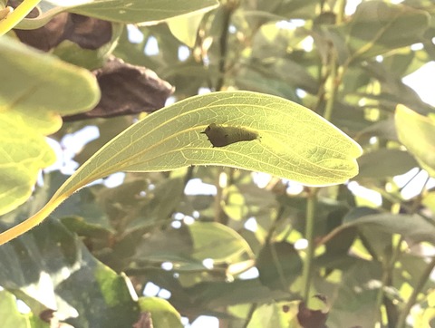 D92C740E-AC92-458E-A349-8BC318C618E1