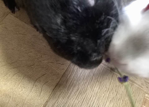 DF39DFA3-DB07-4054-80A5-282719C85B94