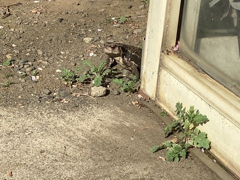 2A362B65-CC2C-4D8F-B180-28D432FE8311