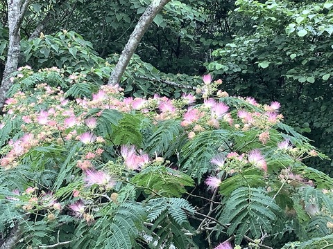 4679A467-C518-4490-9C35-B1A201B0BF31