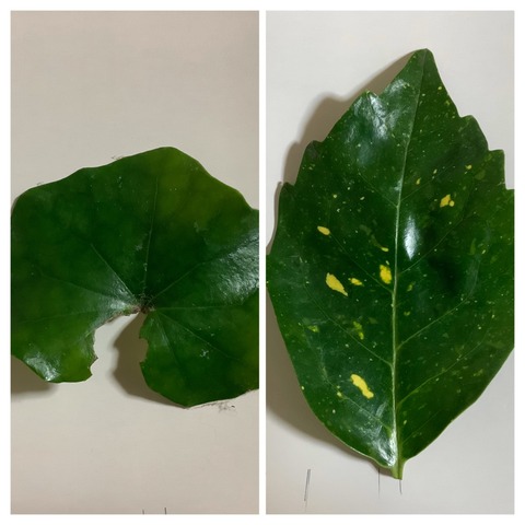 8173FAB2-A6C7-44B7-ABCD-CC7CE62826F0