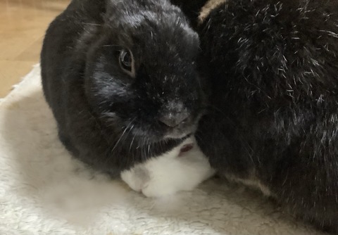 116F5092-1328-416E-9A09-47318D9D3E8A