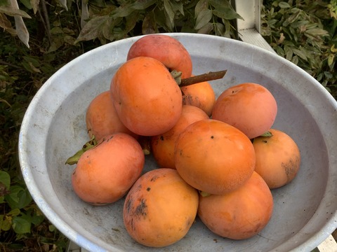 54EC839D-F227-4D9D-A839-8EA263A3C25B