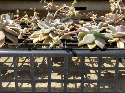 5AF45434-37D1-4428-ABED-22D4D13EFCB4