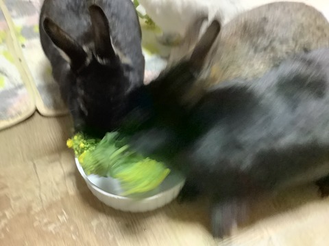 D2649B6D-8BFF-47B2-B62C-1C8729ACCF8C