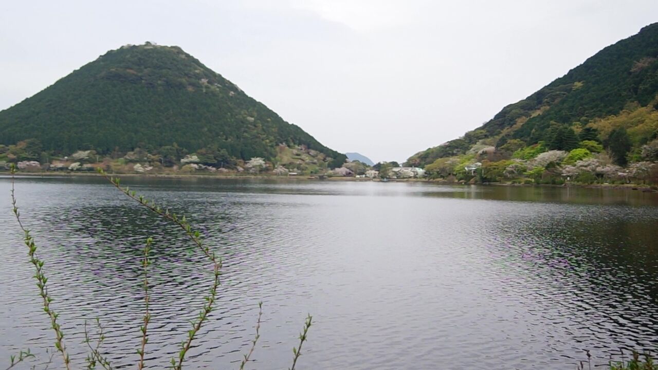 鹿児島県 藺牟田池県立自然公園でキャンプ その1 Nosamimi 日記 鹿児島県 藺牟田池県立自然公園でキャンプ その1 Nosamimi 日記