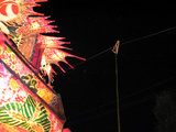 P8060061-