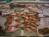 ջԾ졡20080603