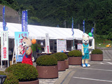 P8030020-