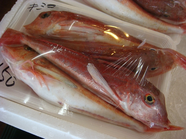 能代駅前の魚屋さん 能代まちなかブログ 能代駅前の魚屋さん 能代まちなかブログ