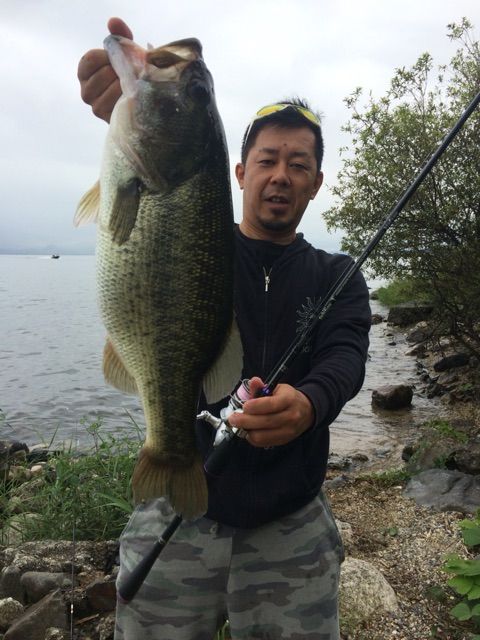 セディション disfear ディスフィアー ロッド | filmekimi.iksv.org