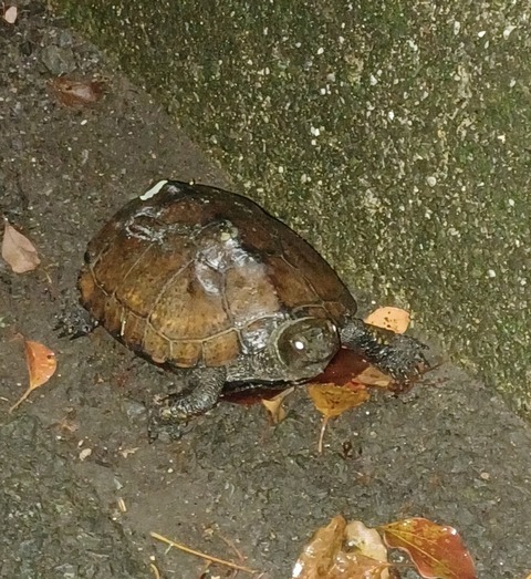 395