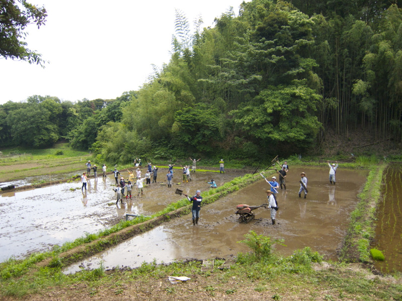 bokusake_taue0609