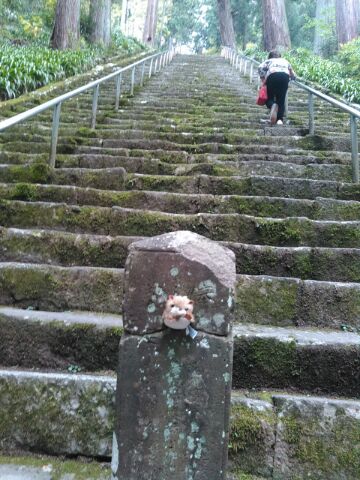 身延山久遠寺へドライブヽ ノ 穴に落ちた山ガール 身延山久遠寺へドライブヽ ノ 穴に落ちた山ガール