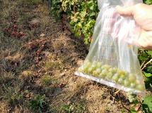 IMG_20180828_161055_1600