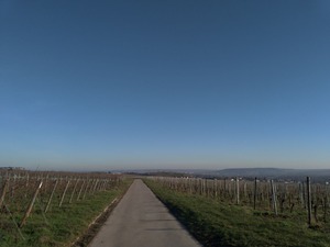 P_20200121_143841_vHDR_Auto_1600