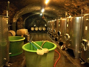 IMG_20190913_182437_1600