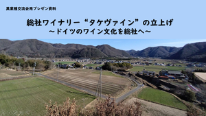 �����꡼�󥷥�å� (393)