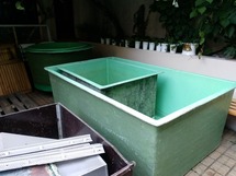 IMG_20180912_080054_1600