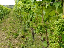 IMG_20180625_102410_1600