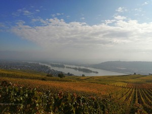 IMG_20201019_123600_1600