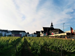 IMG_20190615_195739_1600