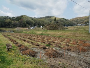 IMG_20250416_110425898