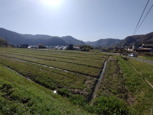 IMG_20240410_083843581