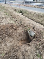 IMG_20240206_135036530