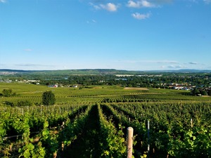 IMG_20190612_201332_1600