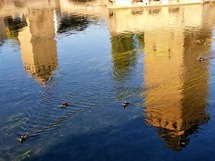 IMG_20181010_161934_1600