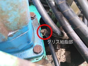 IMG_20240902_103219778-web