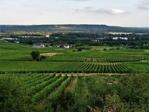 IMG_20190731_194941_1600