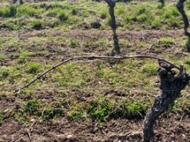 IMG_20180321_142038_1600