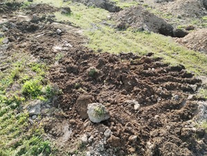 IMG_20250418_162415520