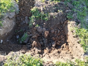 IMG_20240722_172355948