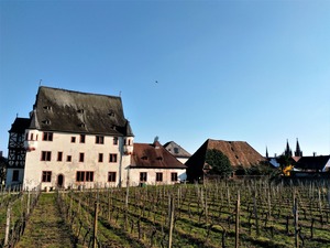 IMG_20190329_164537_1600