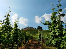 IMG_20180606_173914_1600