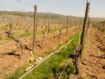 IMG_20180420_115955_1600