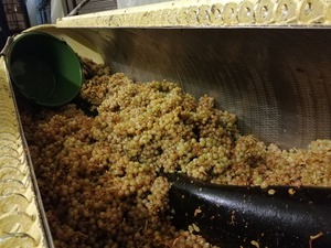 IMG_20201020_112329_1600