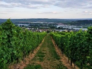 IMG_20190731_200049_1600