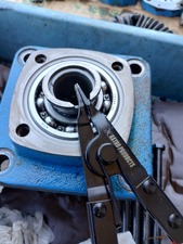 IMG_20240901_101549007_HDR