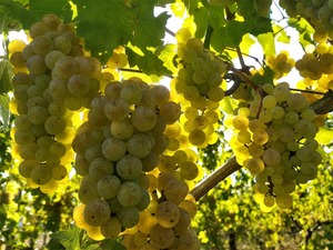 IMG_20180912_161424_1600