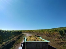 IMG_20180927_130520_1600