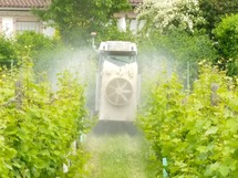 IMG_20180529_114727_1600