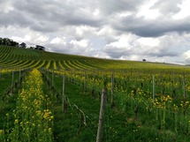 IMG_20180415_162107_1600