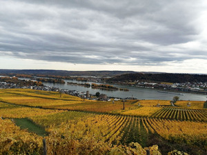 IMG_20201025_130326_1600