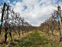 IMG_20180401_151432_1600