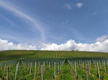 IMG_20180415_130329_1600