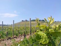 IMG_20180504_131419-2_1600